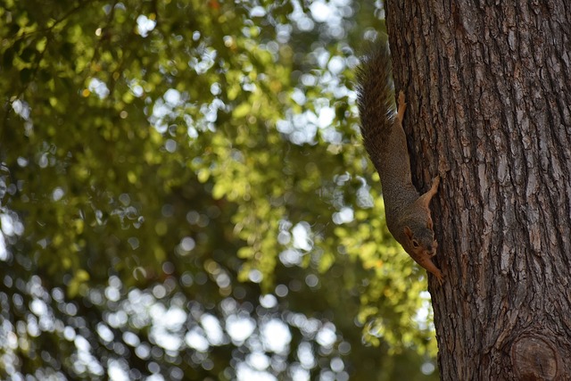 是文化探秘 是文化探秘