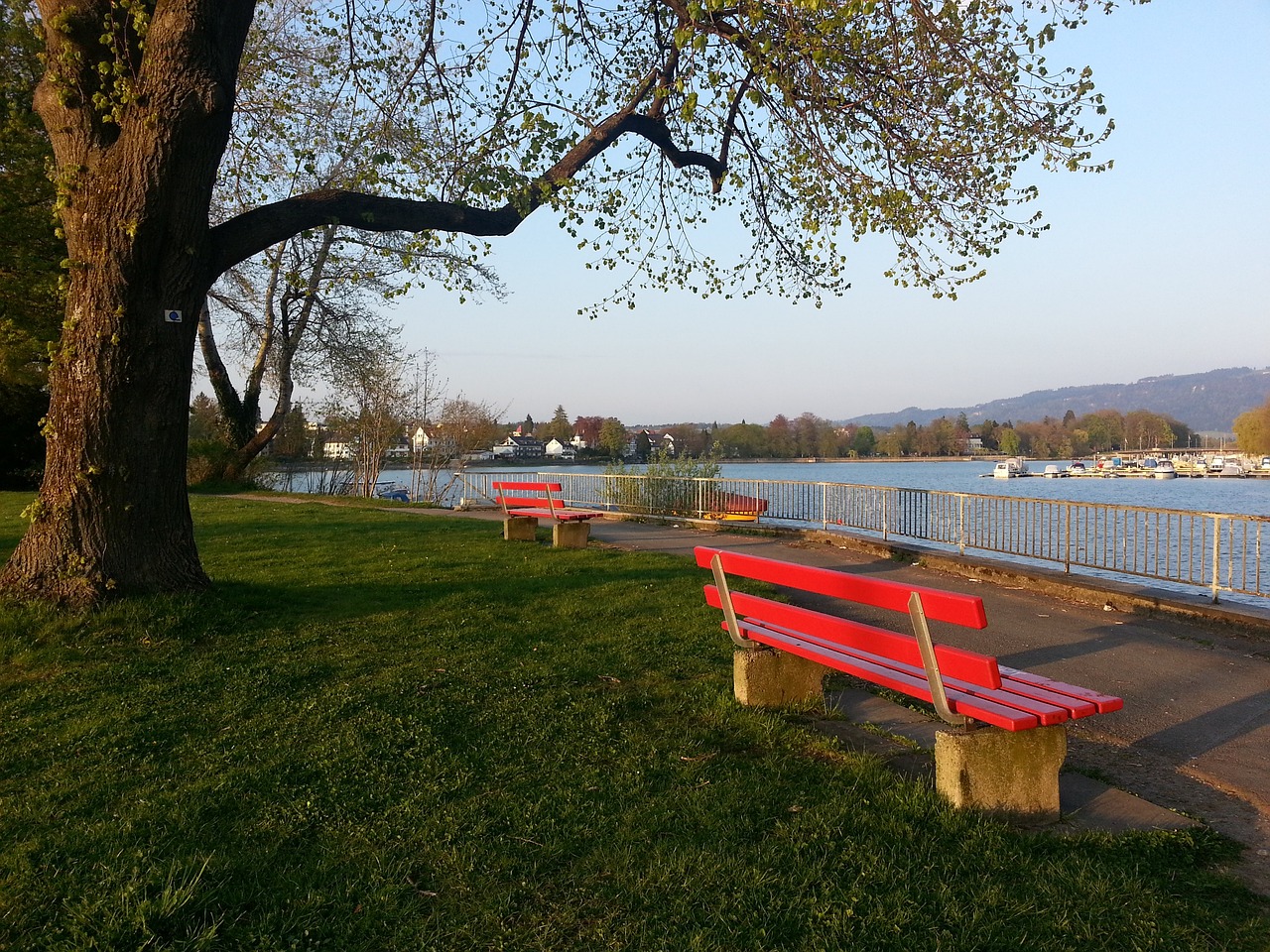 两队的实力 两队的实力