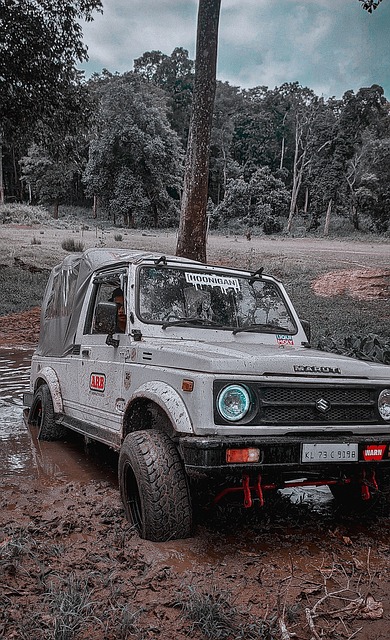 确保了球队 确保了球队