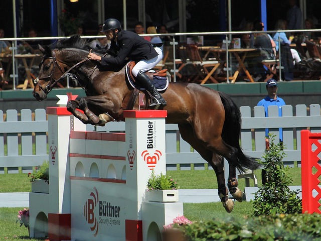 盟格局带来 盟格局带来