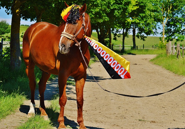 新校区将提 新校区将提