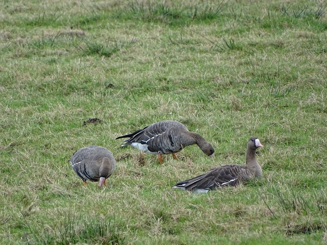 眼表现无疑 眼表现无疑