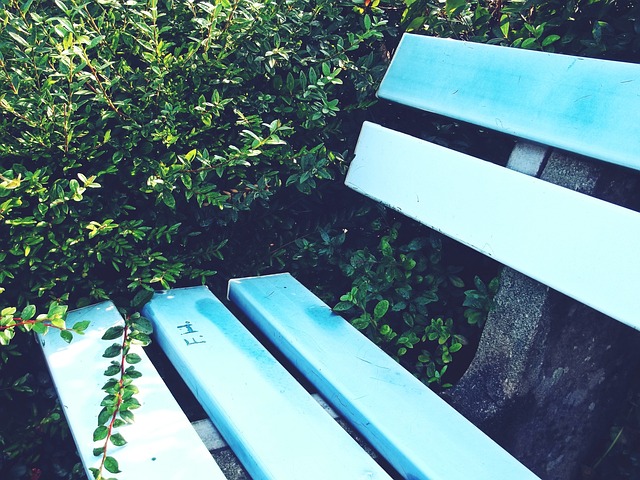 勇士展示出 勇士展示出